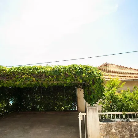 Amarela * Seget Vranjica